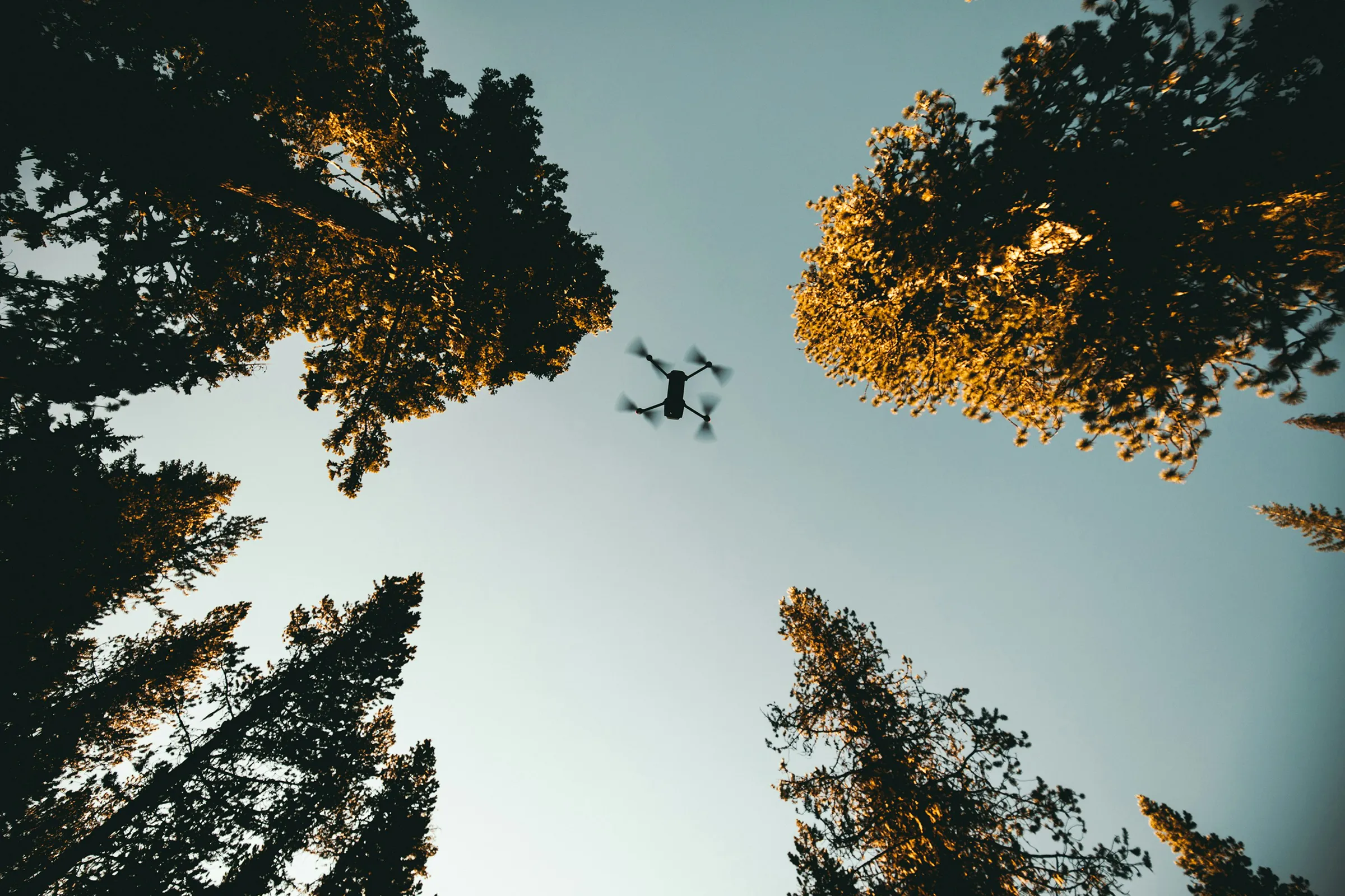 Qu’est-ce qu’un ESC dans un drone ? Anemos Technologies, fabricant de drone français